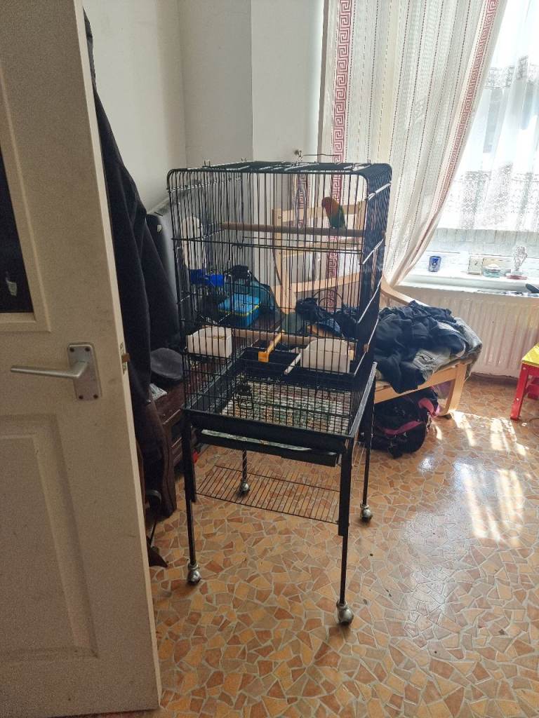 Big cage