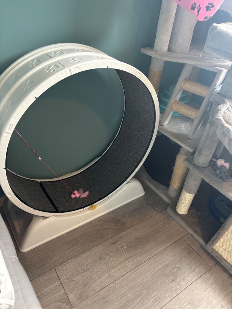 Cat wheel