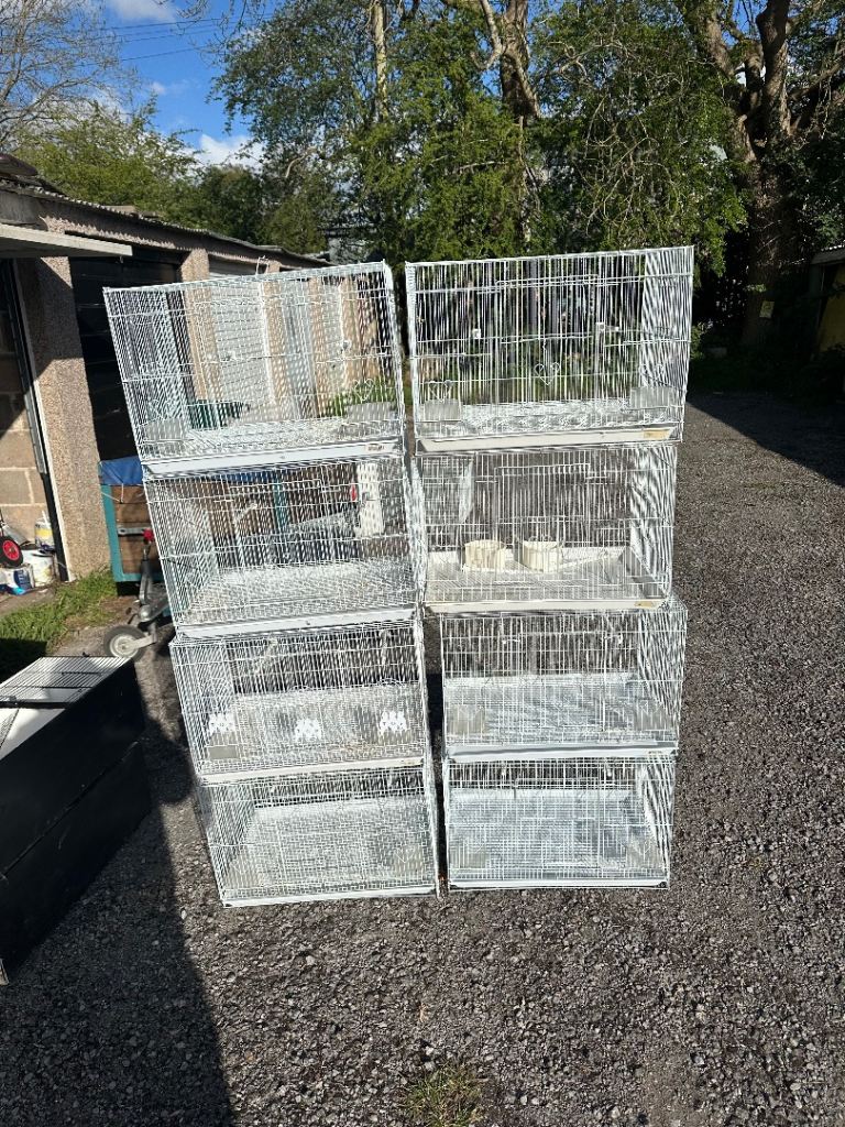 Wire bird cages for sale 