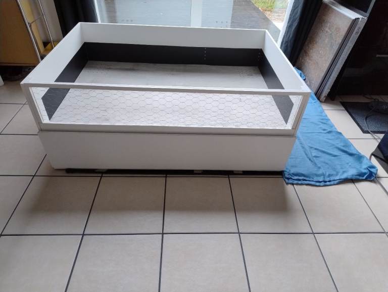 Guinea pig pen 