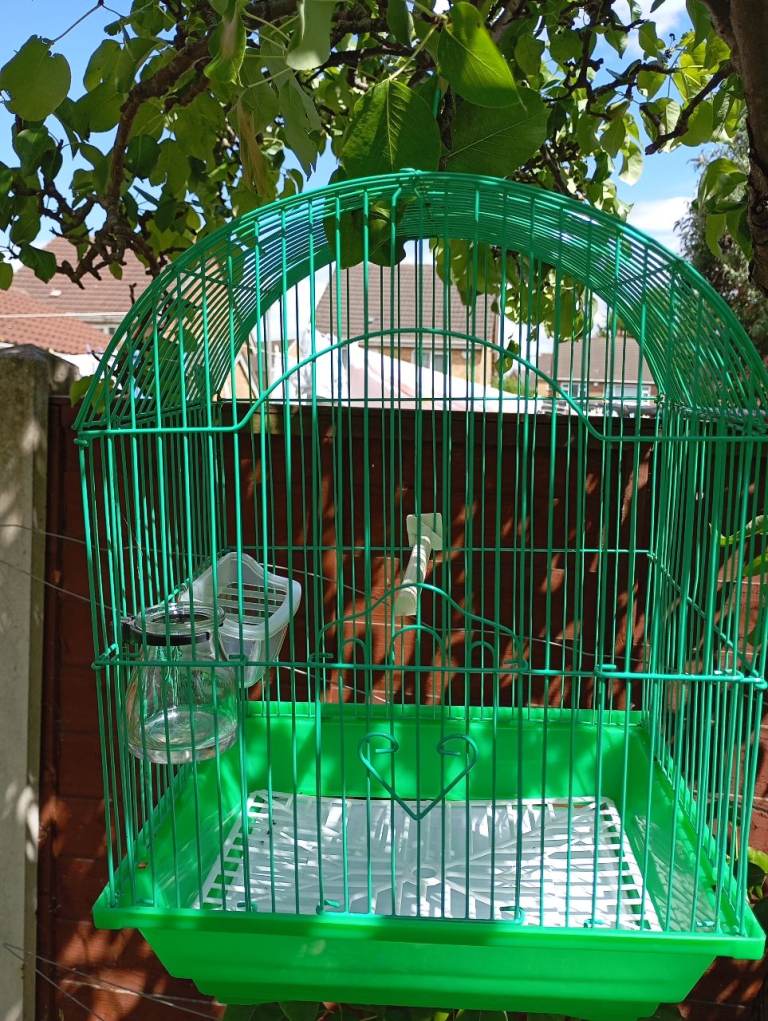 Small bird cage 