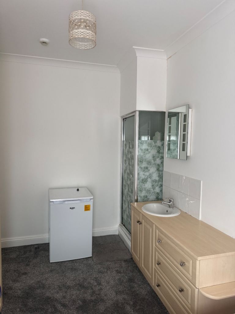 Single en-suite room with a separate toilet 
