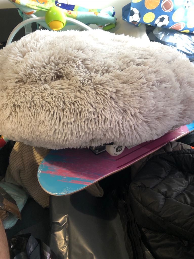 Dog bed 