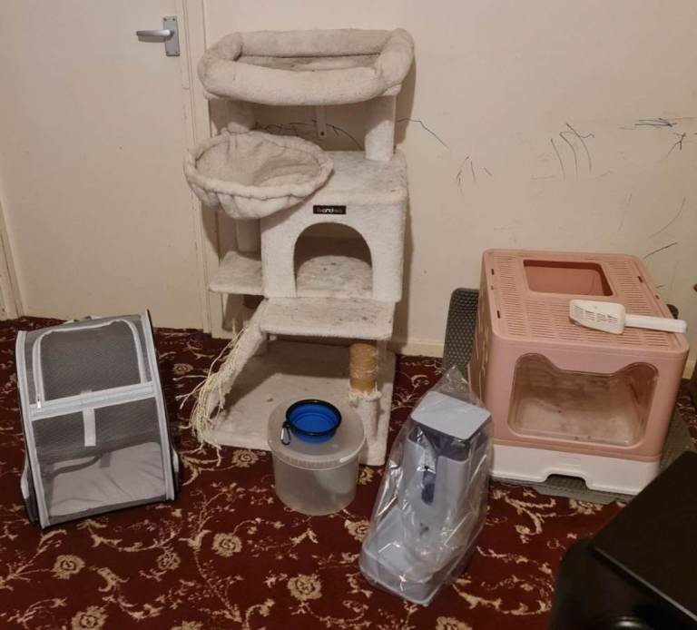 HUGE CAT BUNDLE – QUICK SALE! All for ONLY £25❗