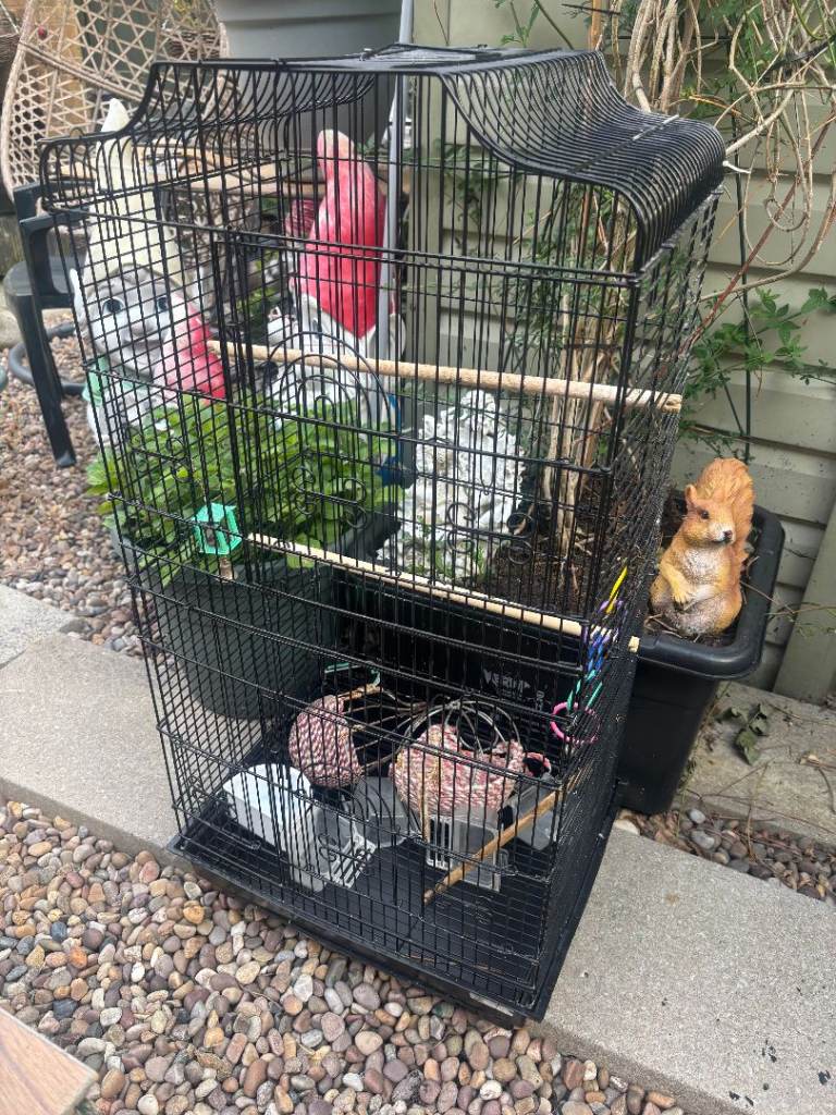 Tall birdcage 