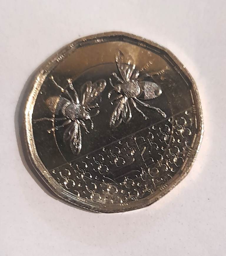 Very Rare Pound Coin with King Charles & 2 bees with minting error in ALL GOLD. 