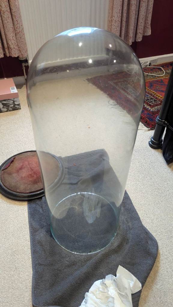 Large Glass Dome Display Cloche with Wooden Base – Good Condition