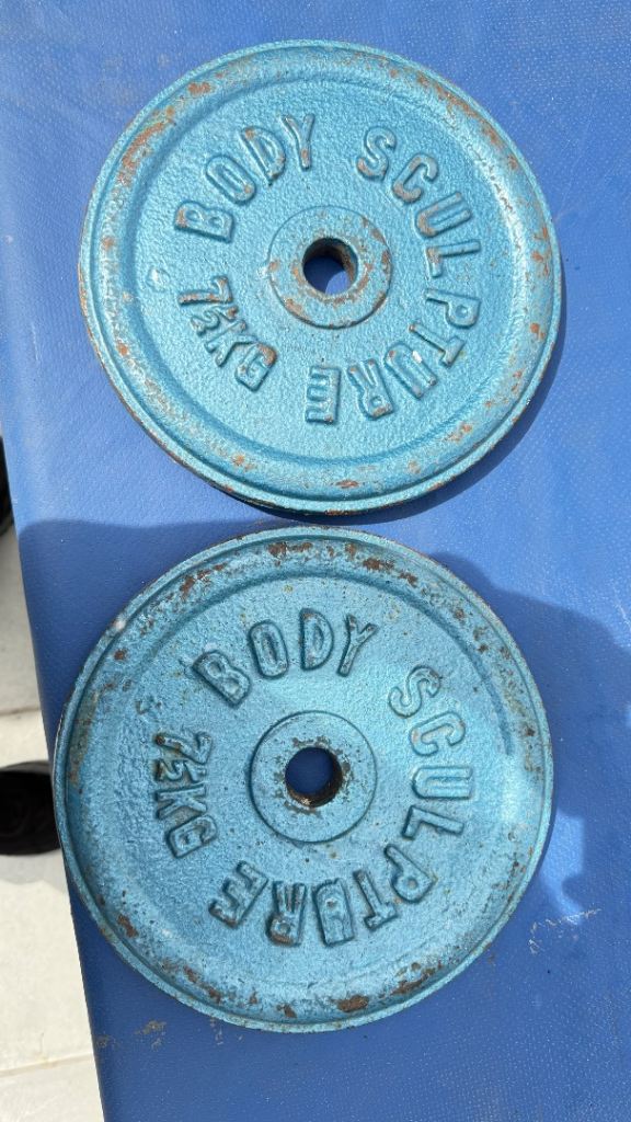 Vintage Body Sculpture 7.5kg Cast Iron Weight Plates Pair 15kg