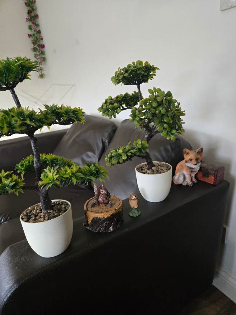 Decorative selection for home