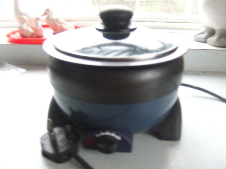 MINI SLOW COOKER, 500W, with Blue Case, Lightweight, Ideal for frail person.