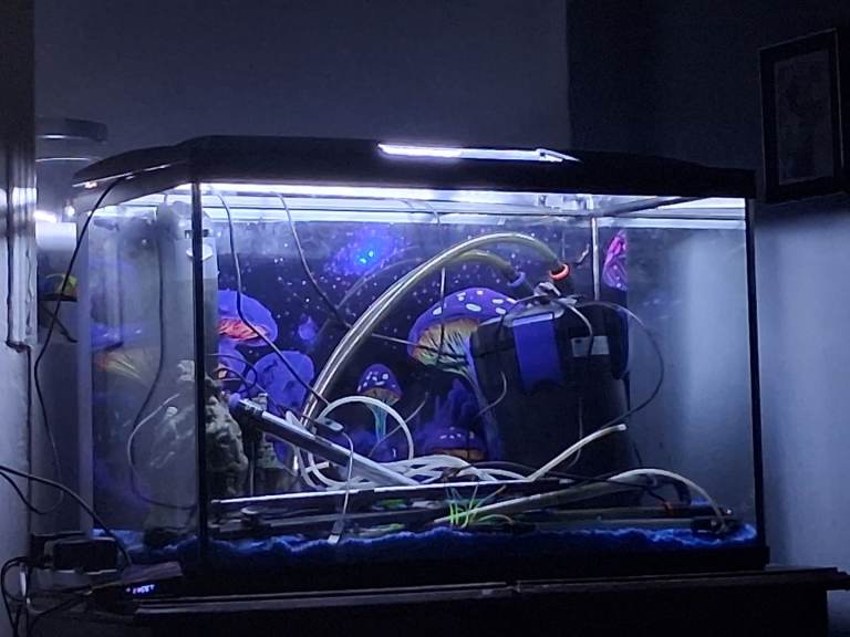 150 litre tank swap or sale 