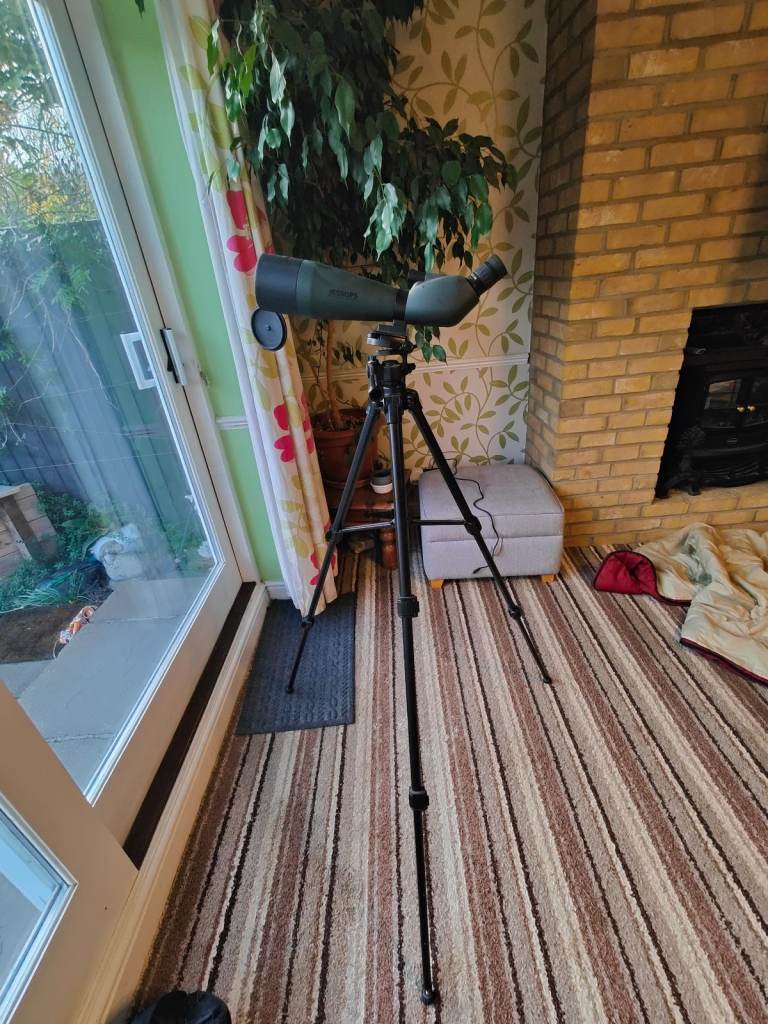 Jessops scope 20-60 60