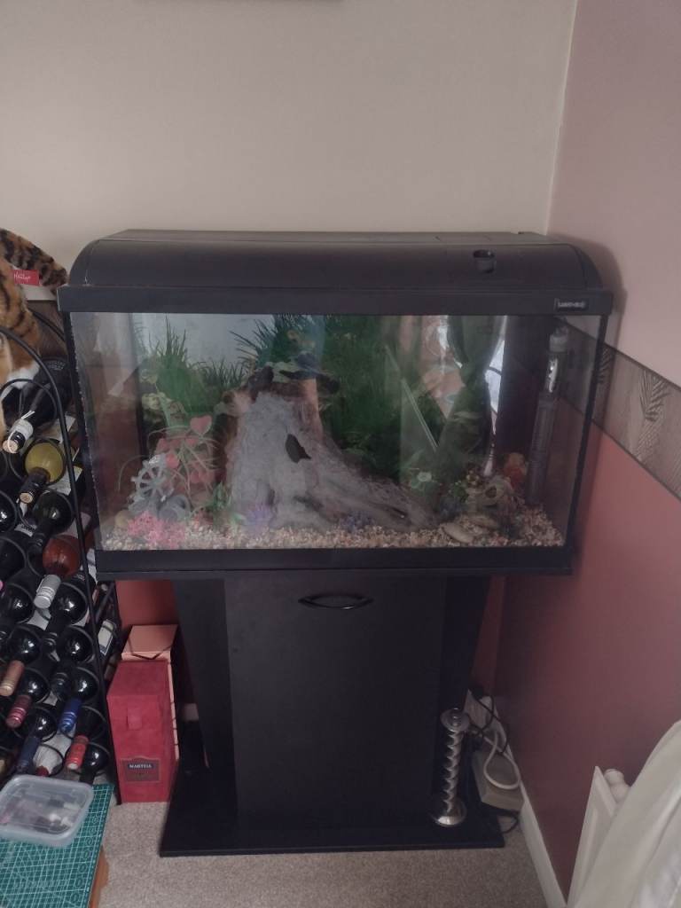 Large Black Fish Tank with Stand and Decorations