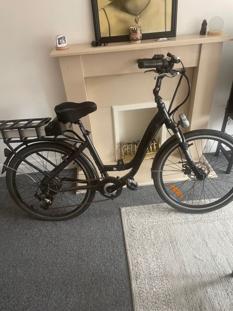 RooDog Electric Bike 