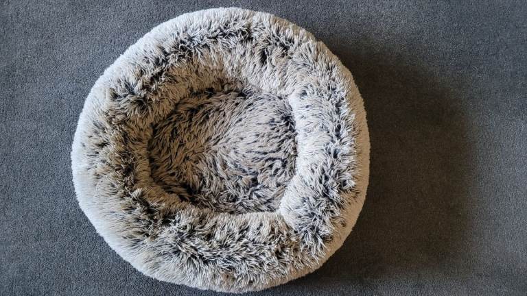 Washable dog bed
