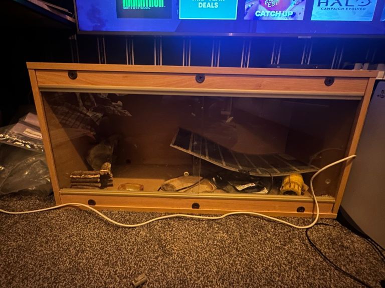 Gecko enclosure   