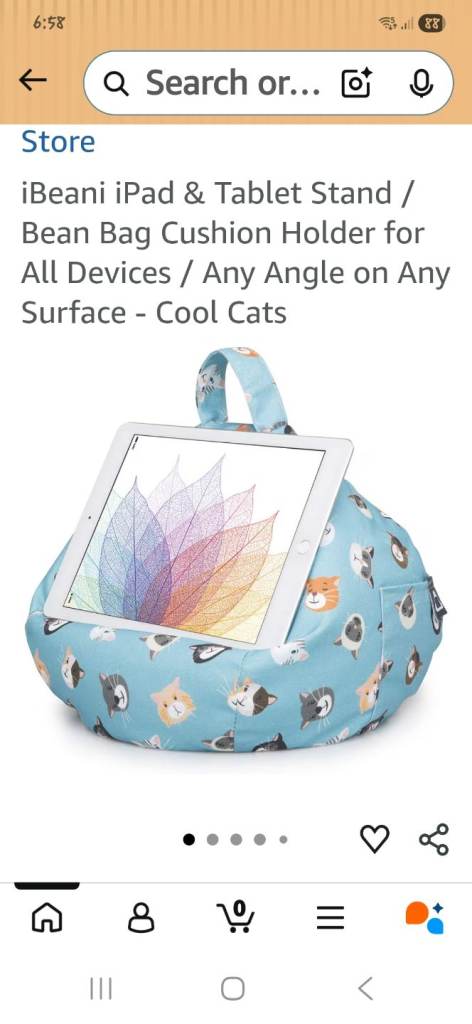 Ipad bean bag
