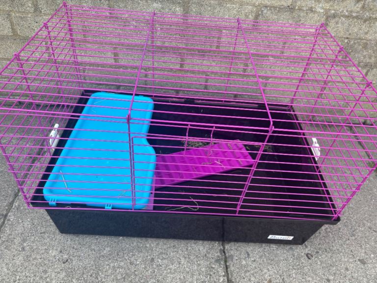 Guinea pig cage 