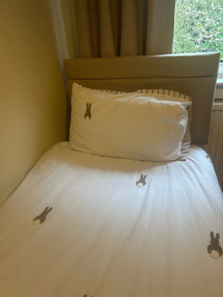 Standard single Bed with Pull out Guest Bed 
