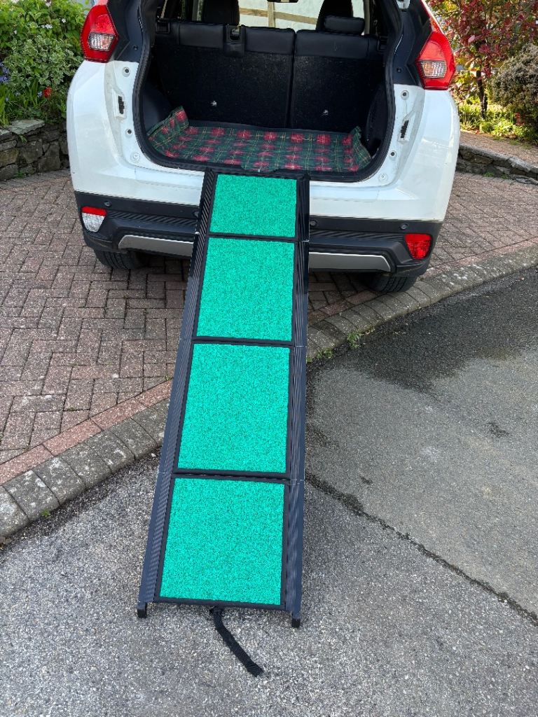 DOG RAMP