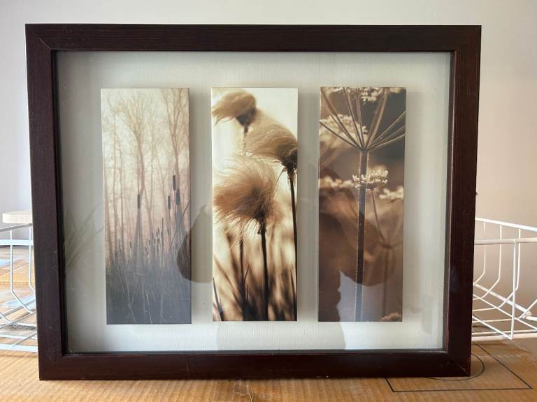 image for Next Picture