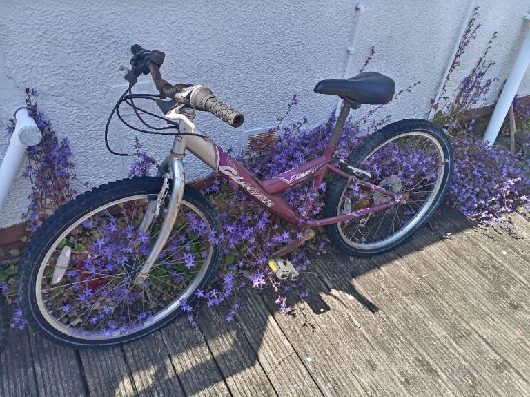 1 Adult and 1 Young Adult Bikes - Scrap? 