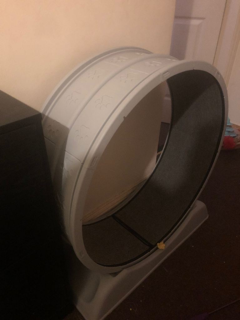 Cat wheel/treadmill