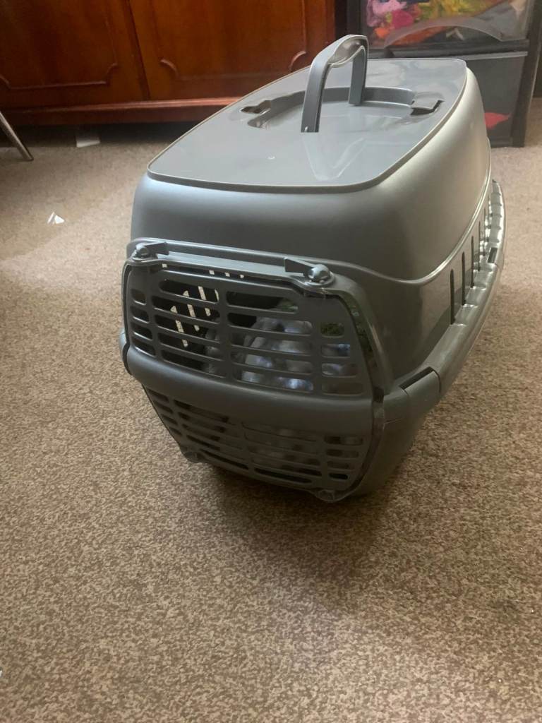 plastic pet carier
