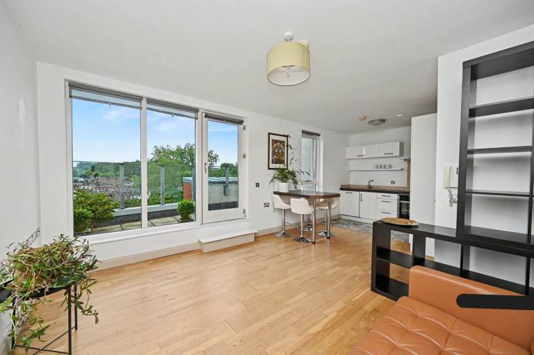 1 Bed Penthouse for Rent - £1200 a month inc rates and management fees - best views of S.Belfast