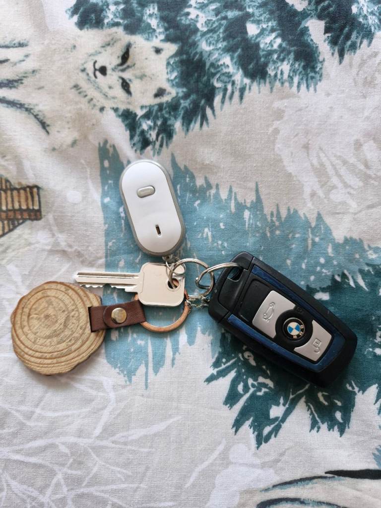 LOST KEYS WITH BMW FOB