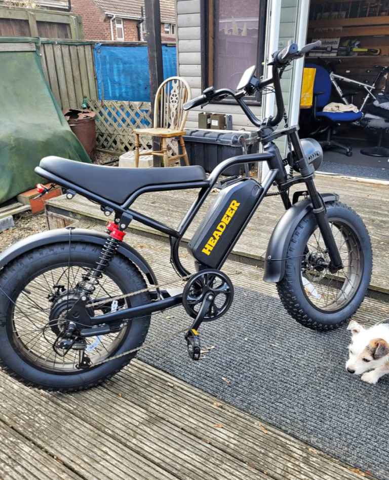 Electric bike 