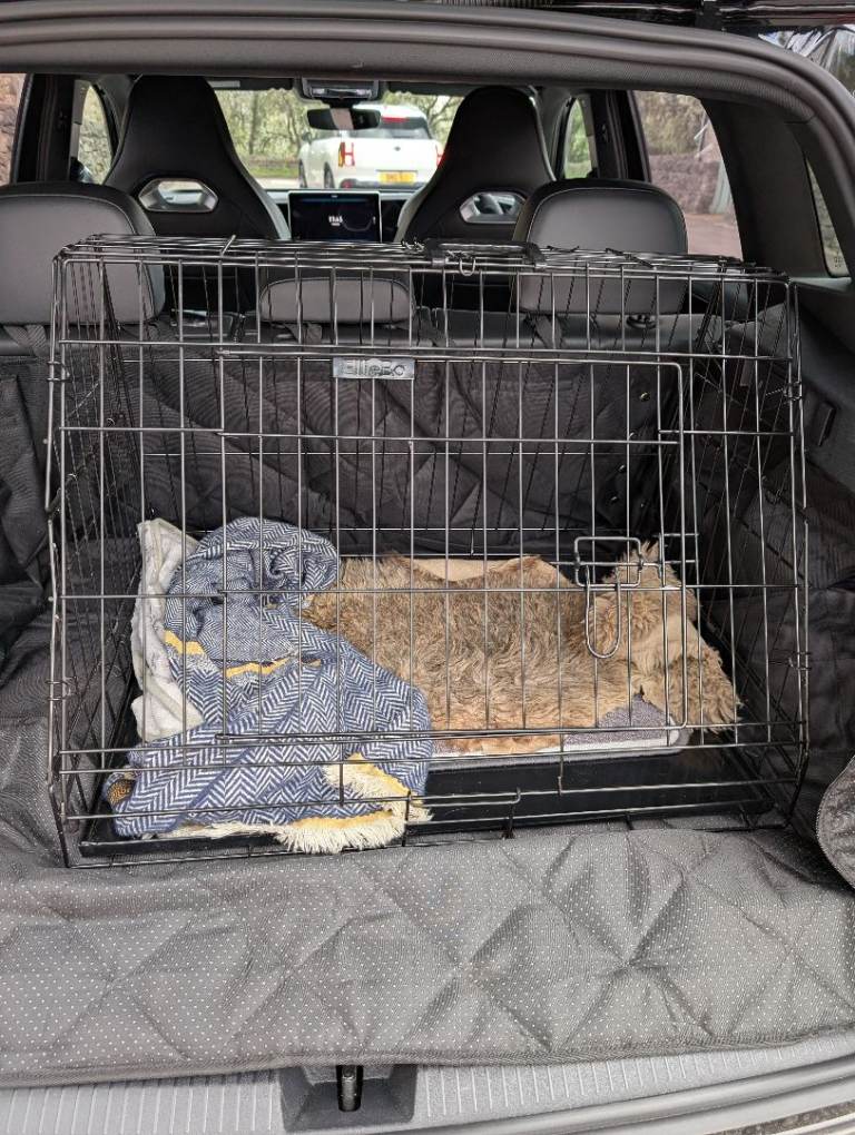 Dog crate for car boot