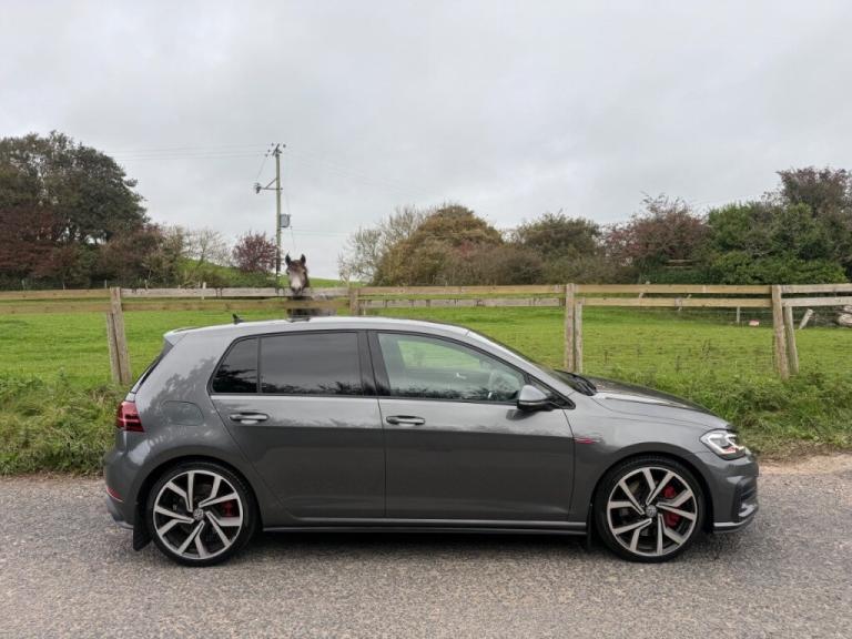  Volkswagen Golf 2.0 TSI 245 GTI Performance 5dr DSG Petrol
