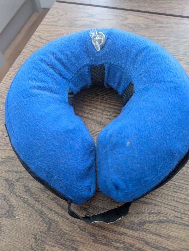 Inflatable dog collar for medical recovery - Kong Brand