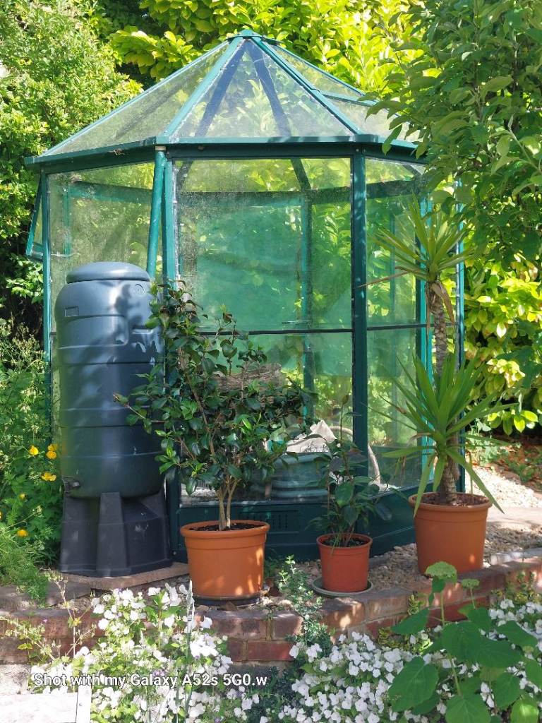 FAWT Octagonal Greenhouse – Green Frame