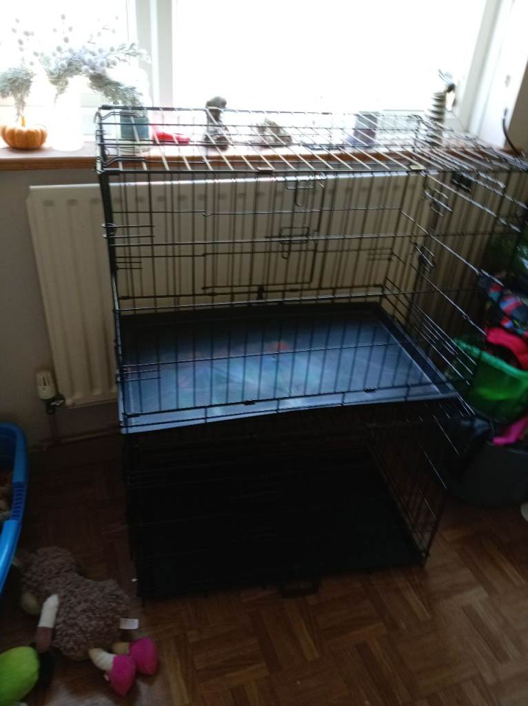 Dog crates