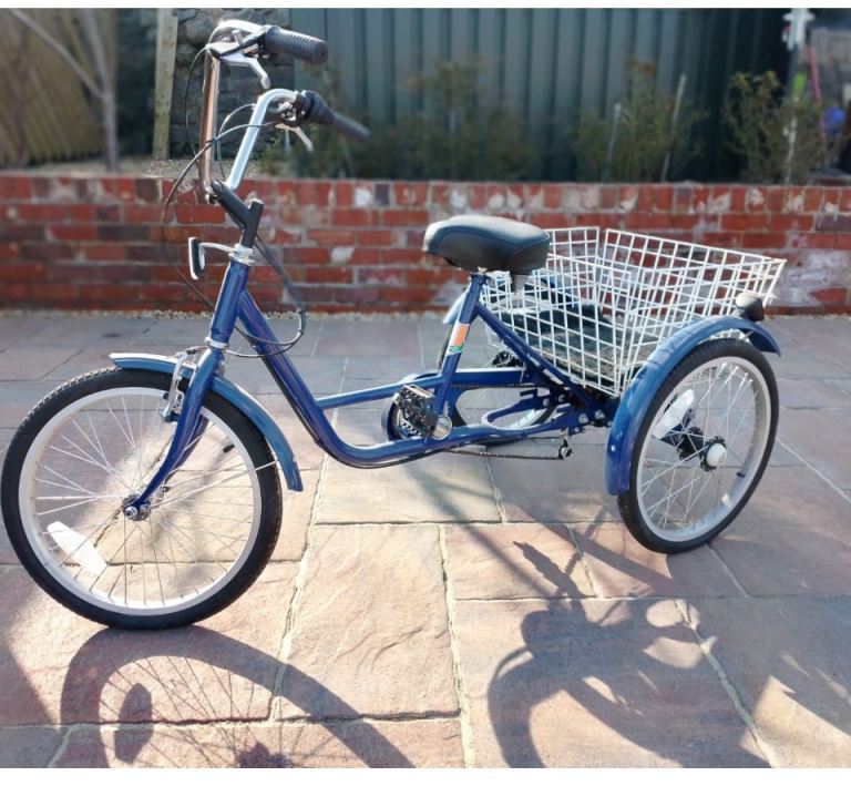 Adult tricycle 