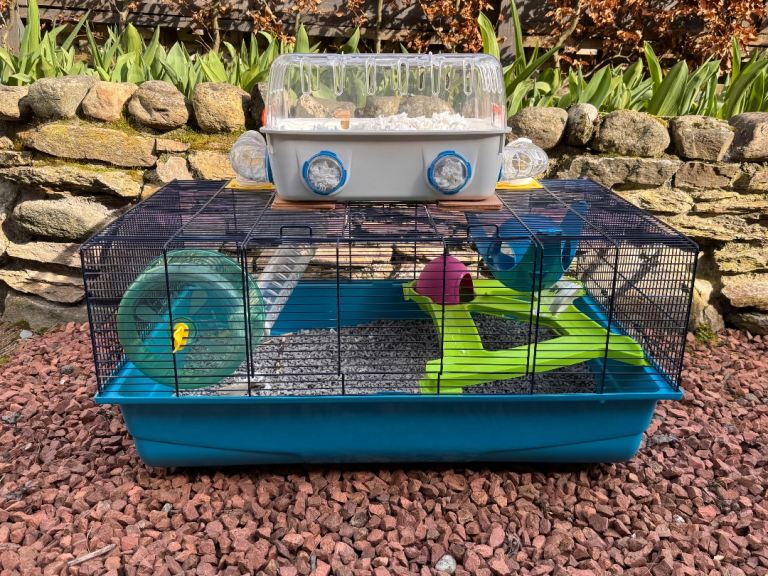Large Hamster Cage with smaller cage and accessories 