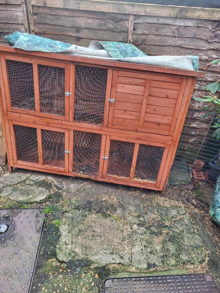  Rabbit hutch 
