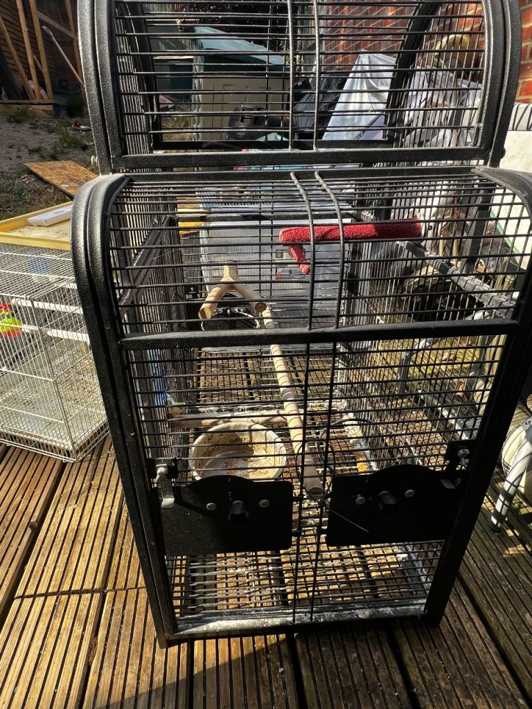Bird Cage Iron Solid with perches and accessories Tray