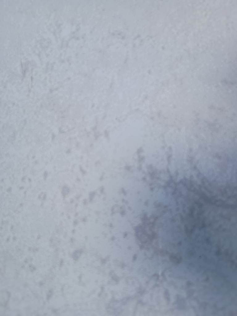 LARGE VENIS WALL TILES BY PORCELANOSA - LIGHT GREY SUBTLE MARBLE EFFECT 