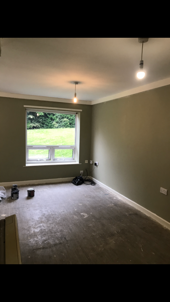 I am painter for homes  or flats commercial 