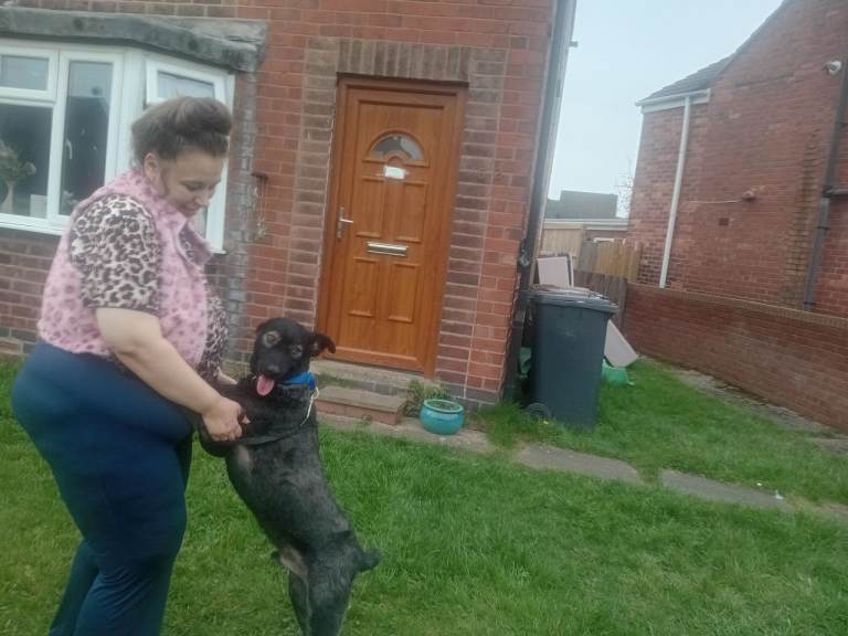 Pako looking for a loving home