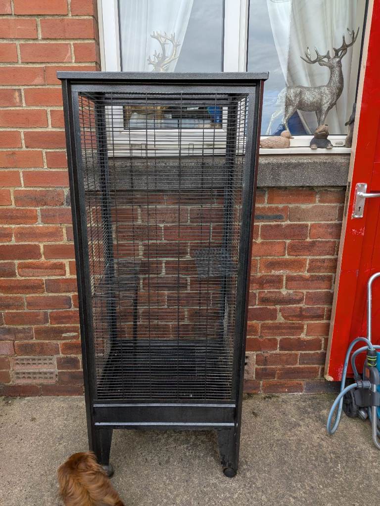 Chipmunk cage 
