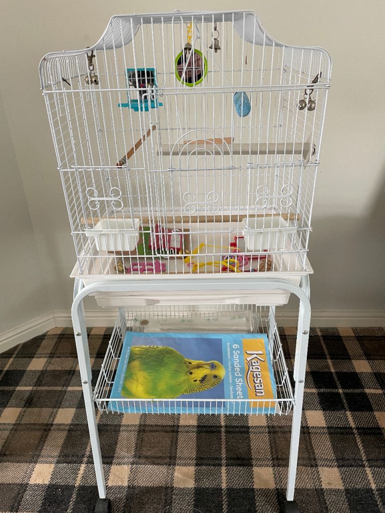 Bird cage on stand