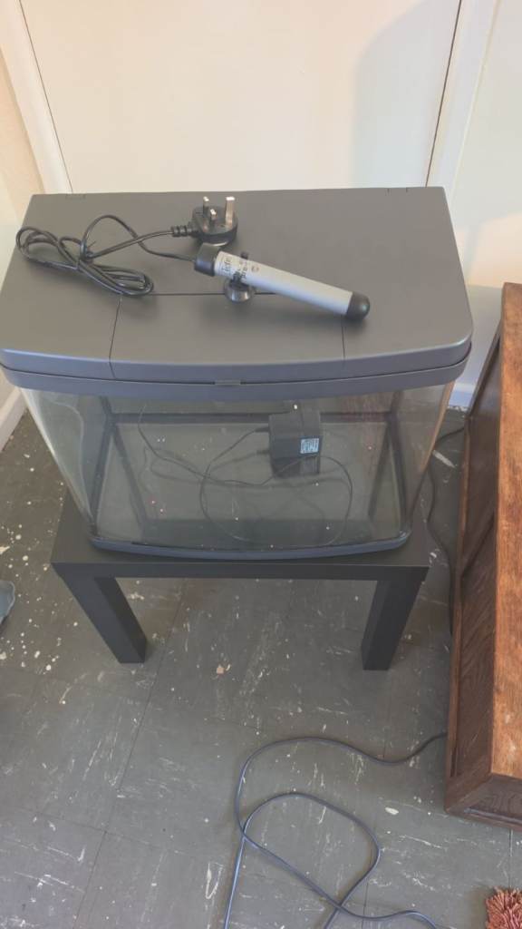 40 litre panoramic fish tank.