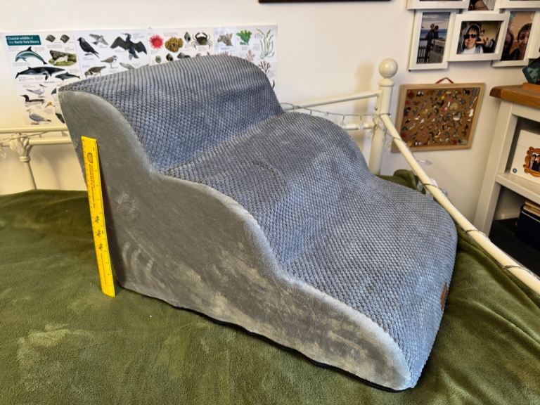 Pet Steps for Small Dogs and Cats 