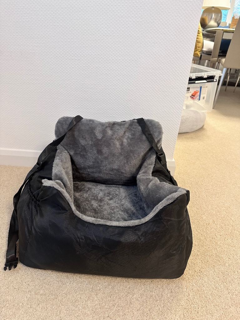 Dog car seat