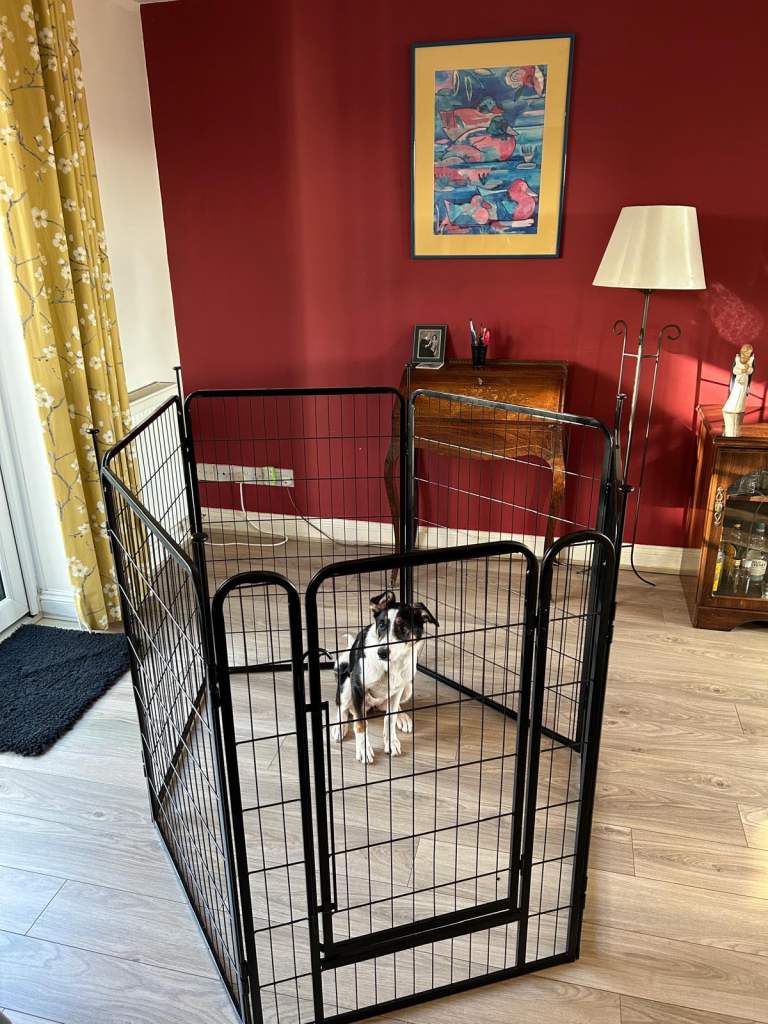 Large Black Metal Pet Playpen or Enclosure for Dogs and Other Pets