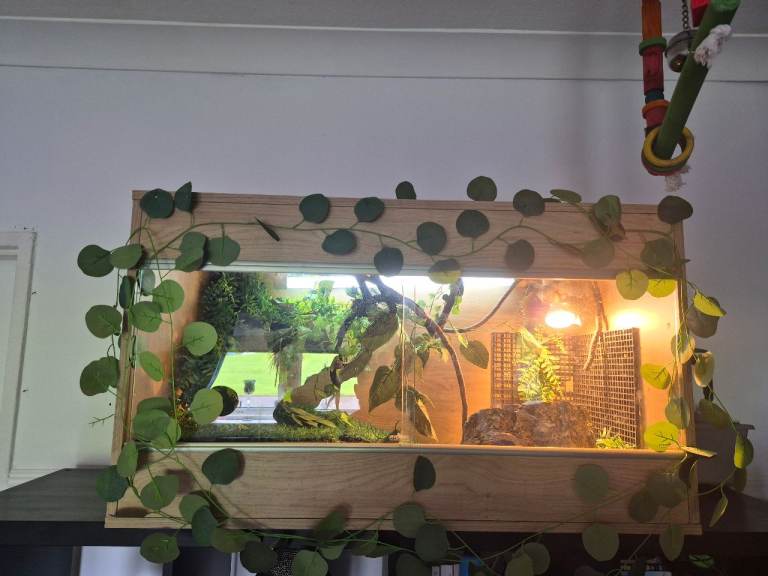 Vivarium with all accessories 